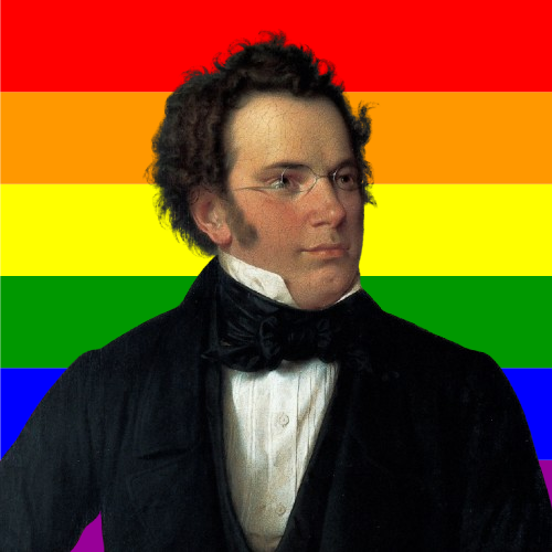 Was Schubert Gay?